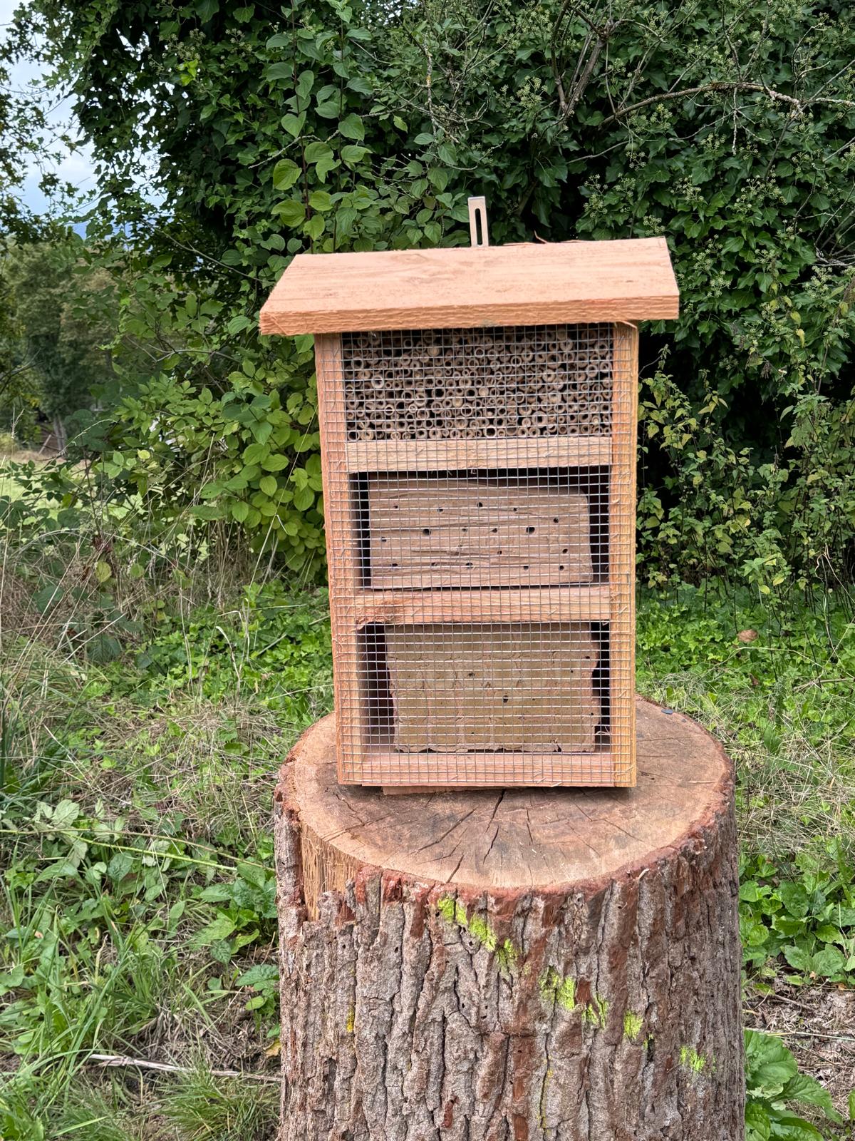 Wildbienen helfen - Insektenhotel basteln: 07.02.2026
