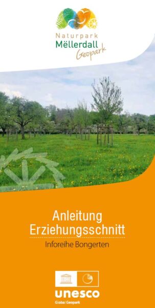 Obstbaumschnitt