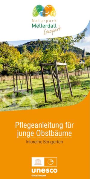 Pflegeanleitung Obstbäume